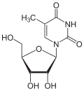5-Methyluridin.svg