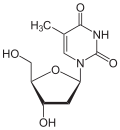 Desoxythymidin.svg