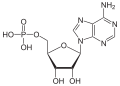 Struktur von Adenosinmonophosphat