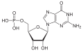 Struktur von Guanosinmonophosphat