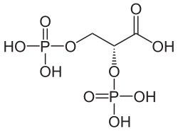 Struktur von 2,3-Biphosphoglycerinsäure