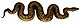 Python natalensis Smith 1840 white background.jpg