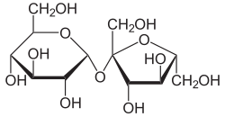 Saccharose