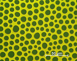 CMOS magnetische Blasendomänen.jpg